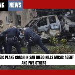 Tragic Plane Crash in San Diego Kills Music Agent and Five Others